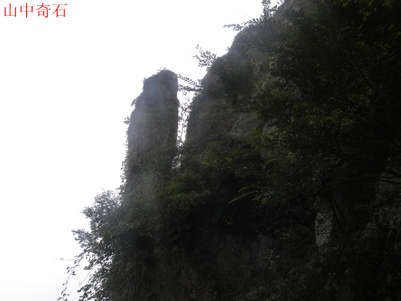 dscn3566_.jpg