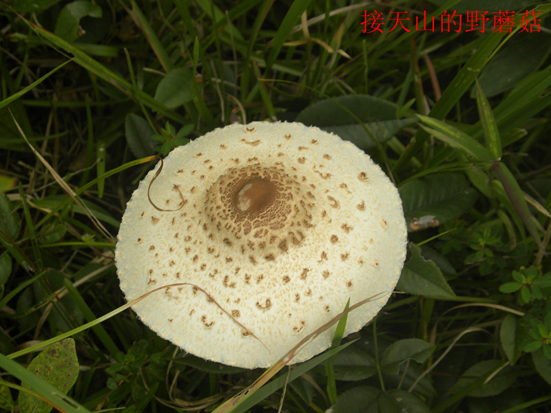 dscn3527_.jpg