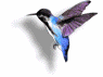 cid_54d629d86a854ed9b2d56dc280aa8ee5usuario2pc.gif