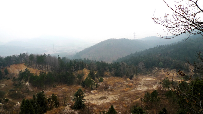 p1060421.jpg