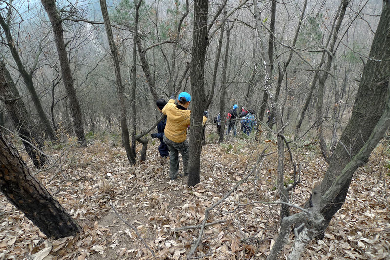 p1060432.jpg
