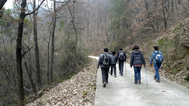 p1060438.jpg