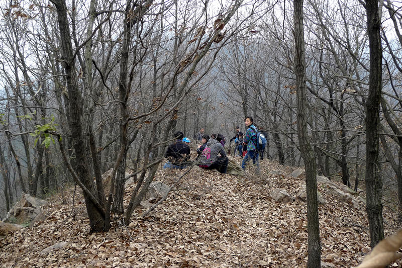p1060428.jpg