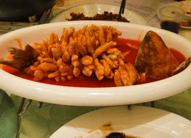 dsc02570.jpg