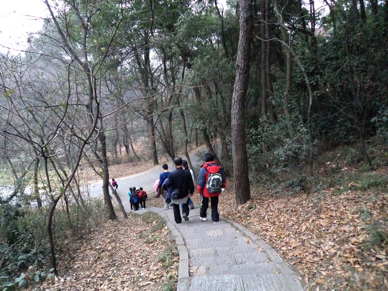 dsc03128+.jpg