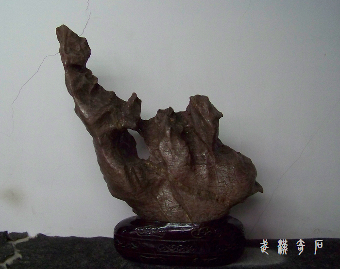 20120103s人ʯ-ʡ (16).jpg