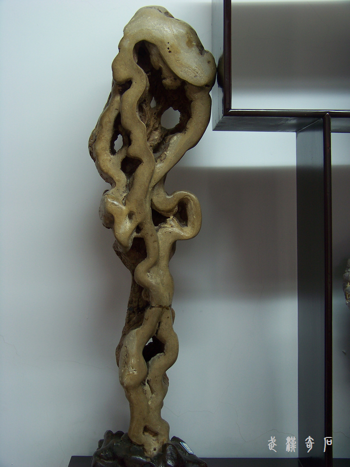 20120103s人ʯ-ʡ (38).jpg