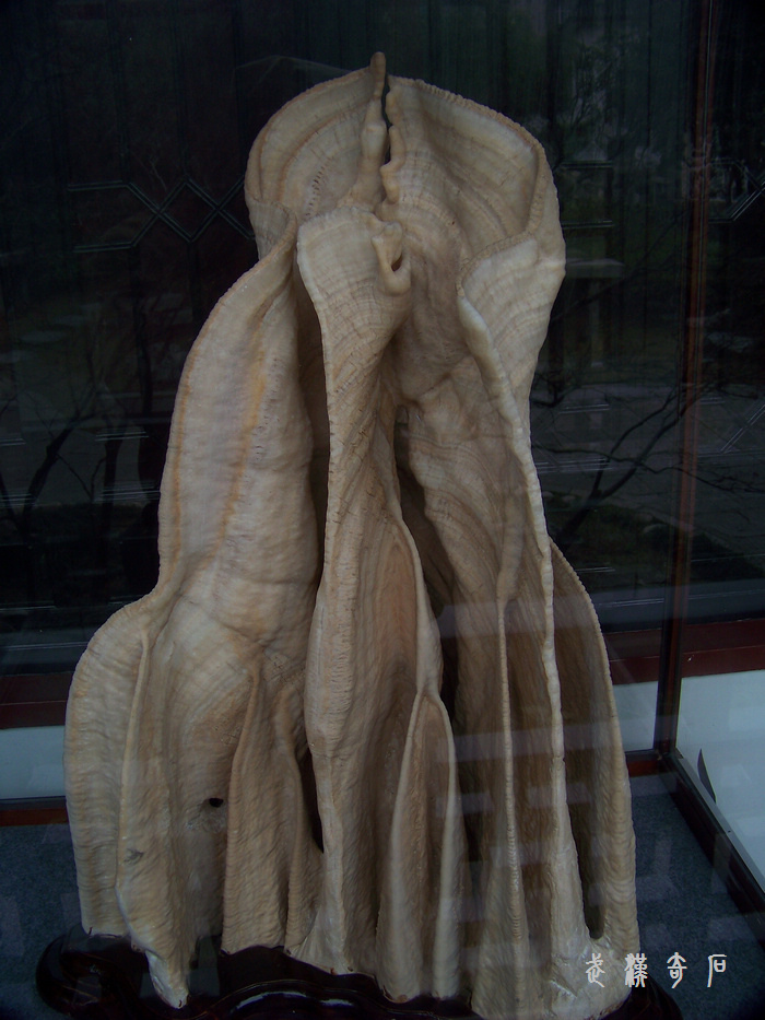 20120103s人ʯ-ʡ (44).jpg