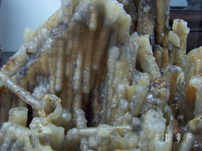 20120103s人ʯ-ʡ (21).jpg