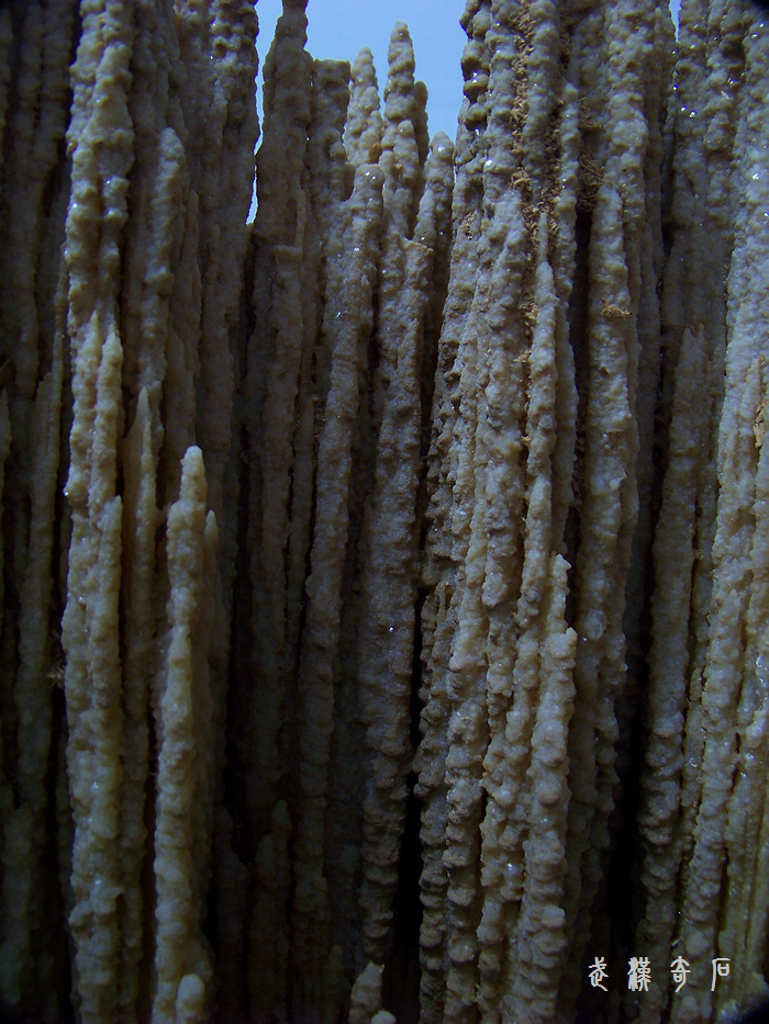 20120103s人ʯ-ʡ (45).jpg