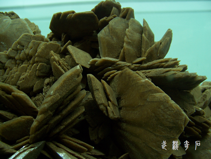 20120103s人ʯ-ʡ (35).jpg