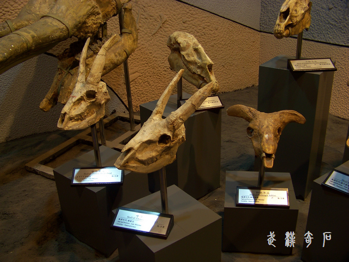 20120103s人ʯ-ʡ (47).jpg