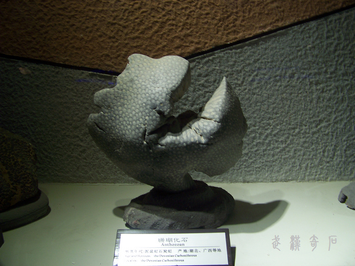 20120103s人ʯ-ʡ (49).jpg