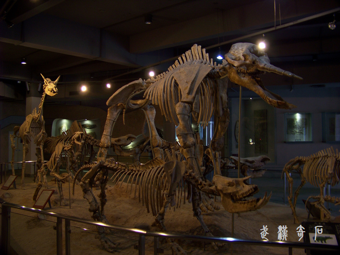 20120103s人ʯ-ʡ (48).jpg