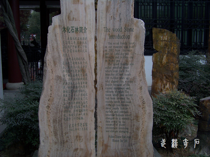 20120103h人лʯ-軯ʯ (11).jpg