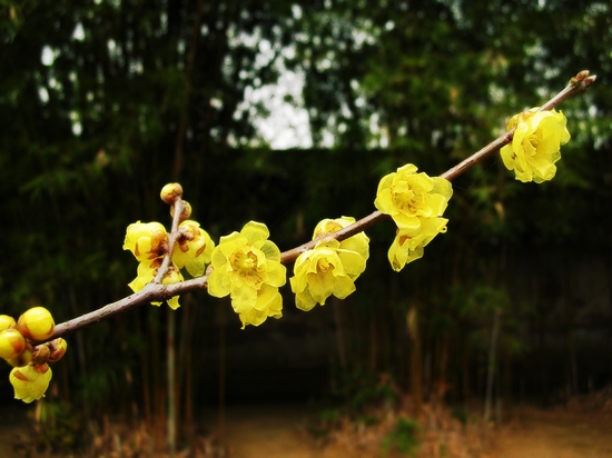 dscn2773a.jpg