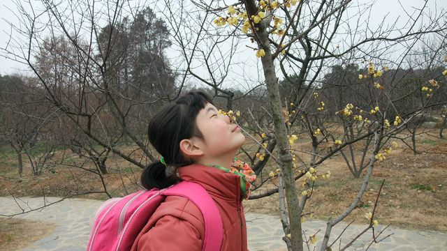 dscf87186.jpg