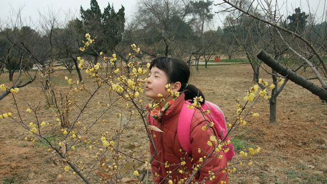 dscf87388.jpg