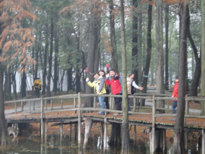 382-10.jpg