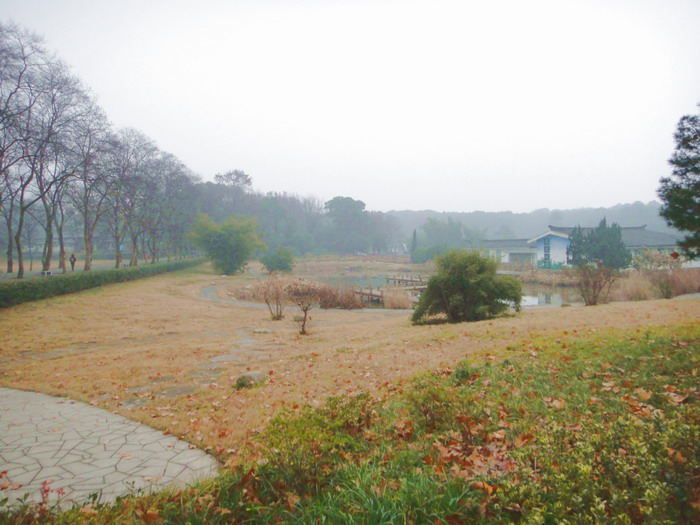 382-14.jpg