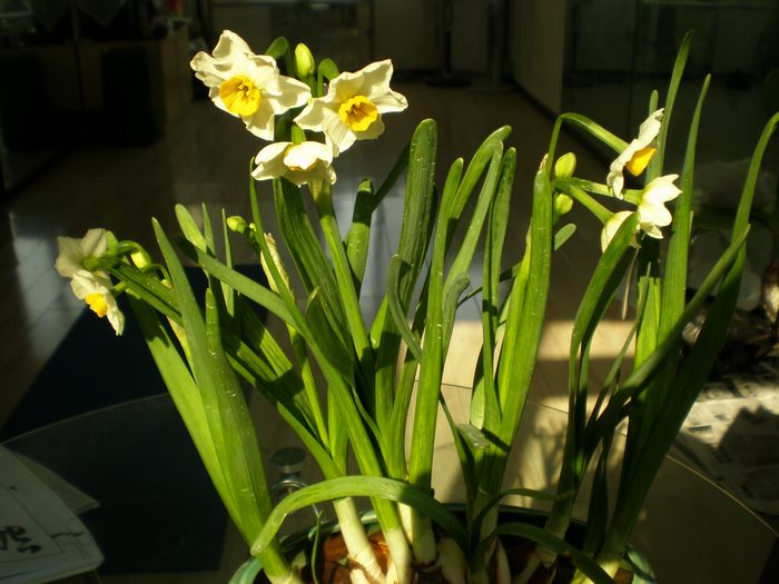 p1060002.jpg