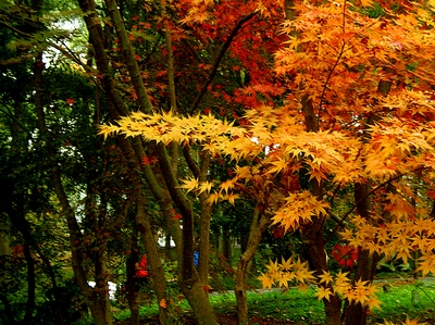 dscn2213_.jpg
