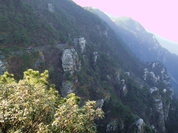 dsc01712.jpg