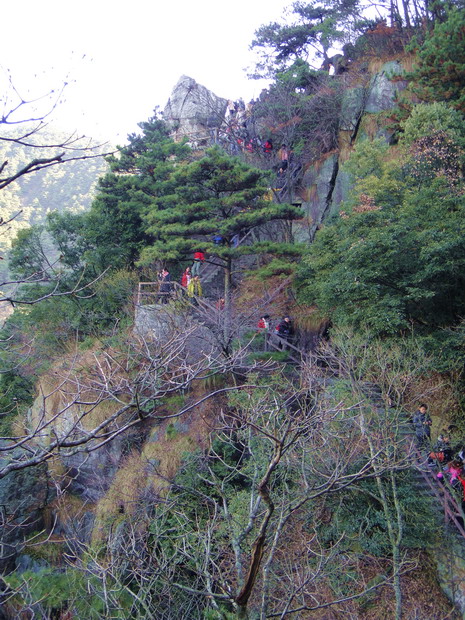 dsc01706.jpg