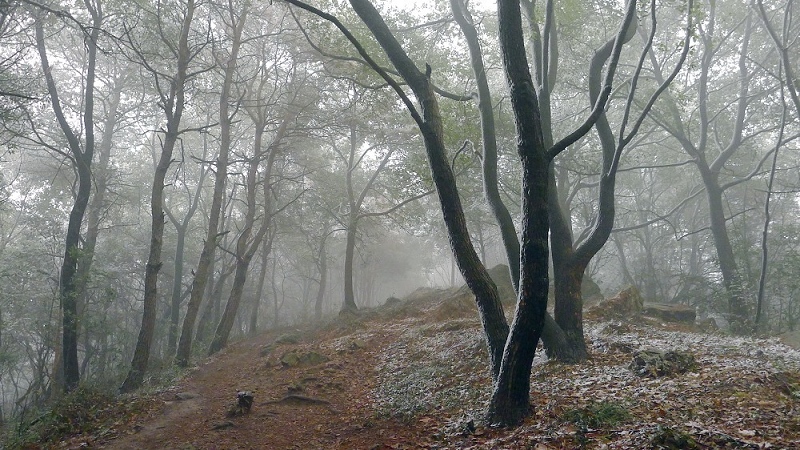p1040079a.jpg