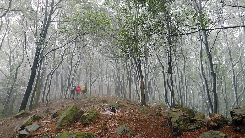 p1040074a.jpg
