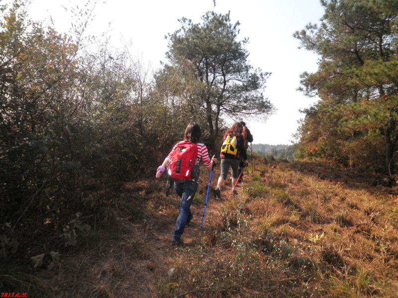 http_imgload-201211.jpg