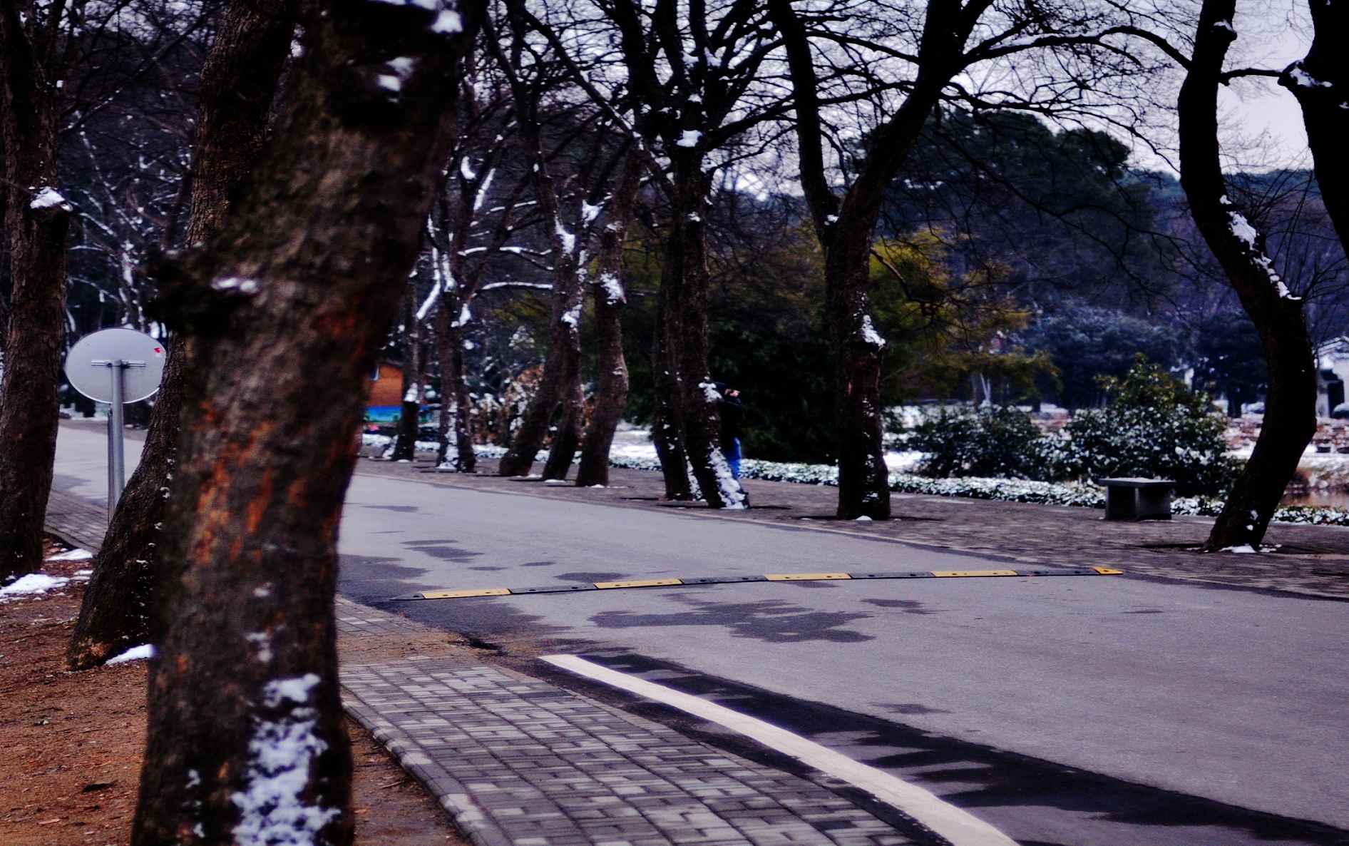 dsc_0263.jpg