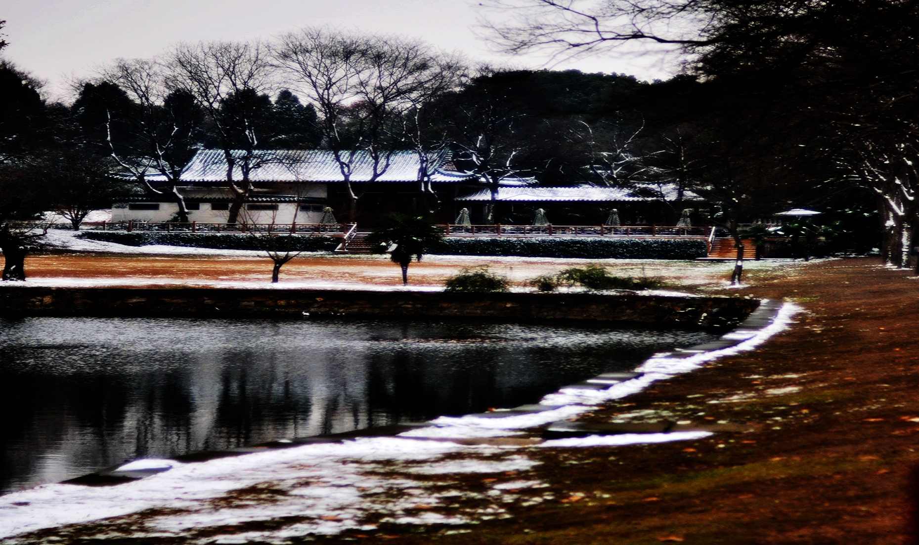 dsc_0262.jpg