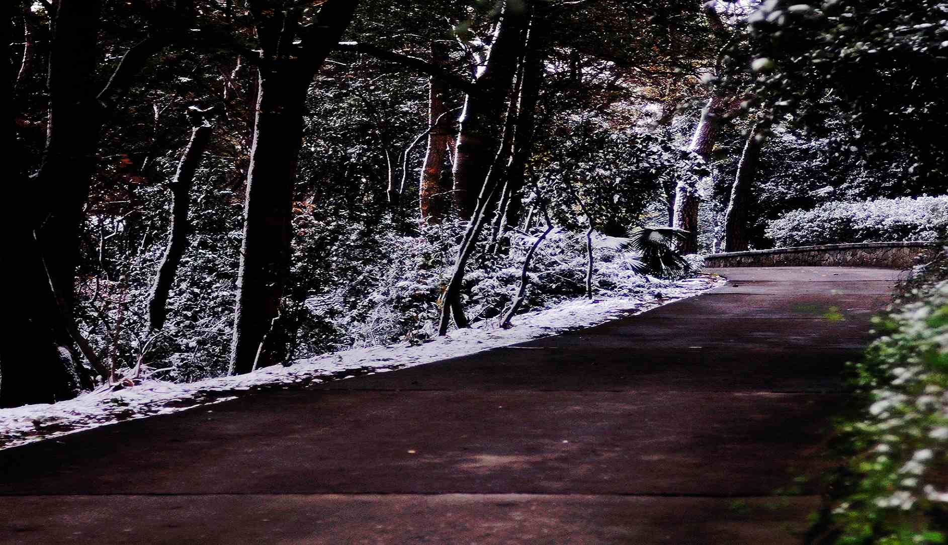 dsc_0260.jpg