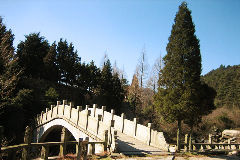 img_7054_1.jpg