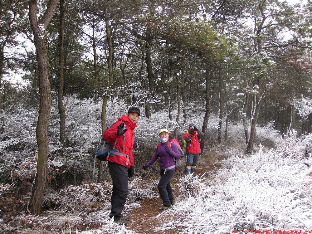 2012 023.jpg