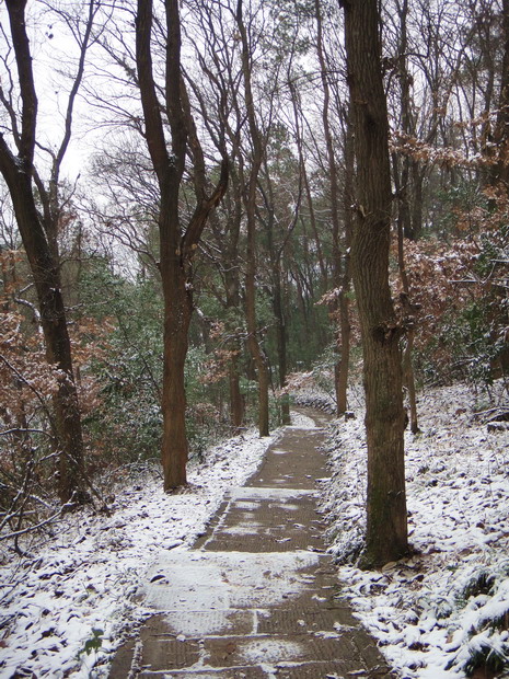 dsc03150.jpg