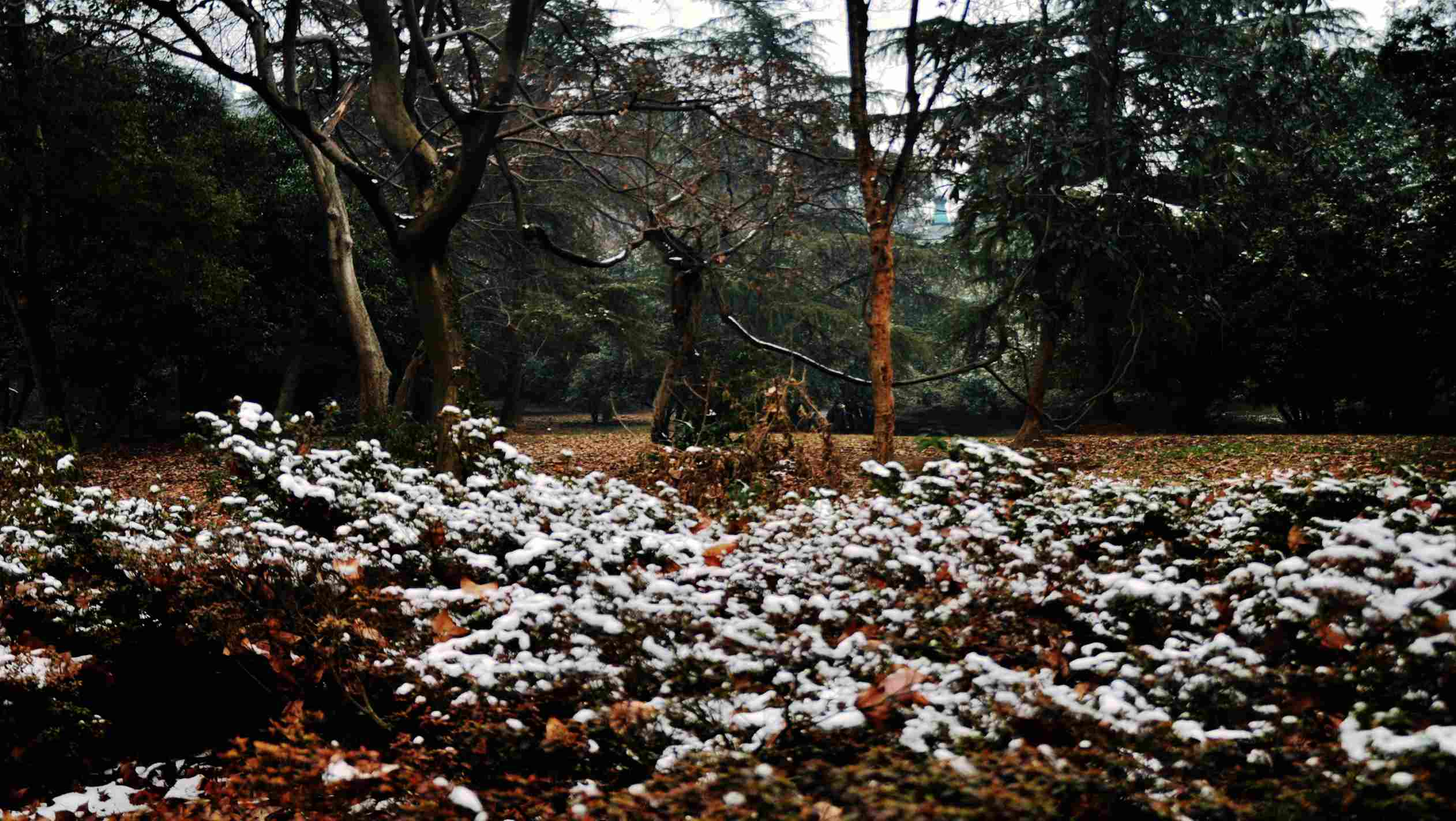 dsc_0302.jpg