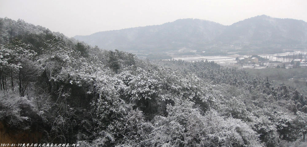 2012 022.jpg