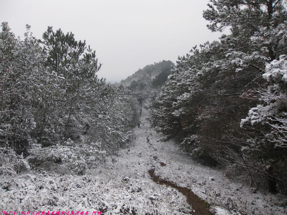 2012 111.jpg