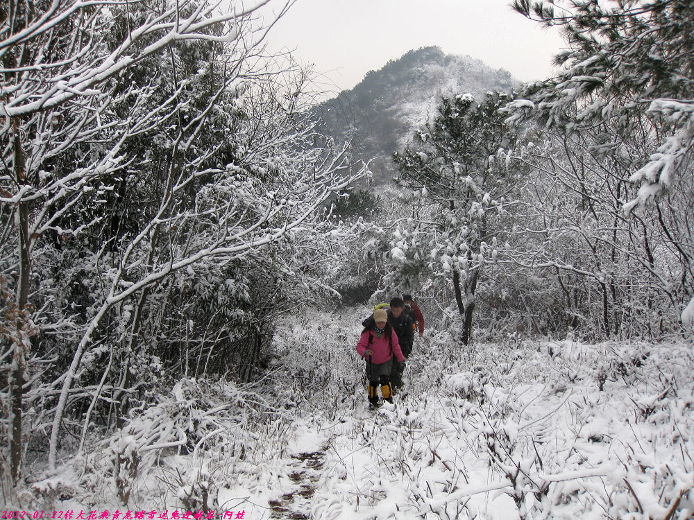2012 097.jpg