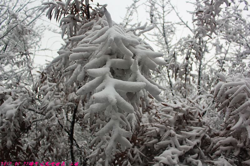 http_imgload-̤ѩӭ38.jpg