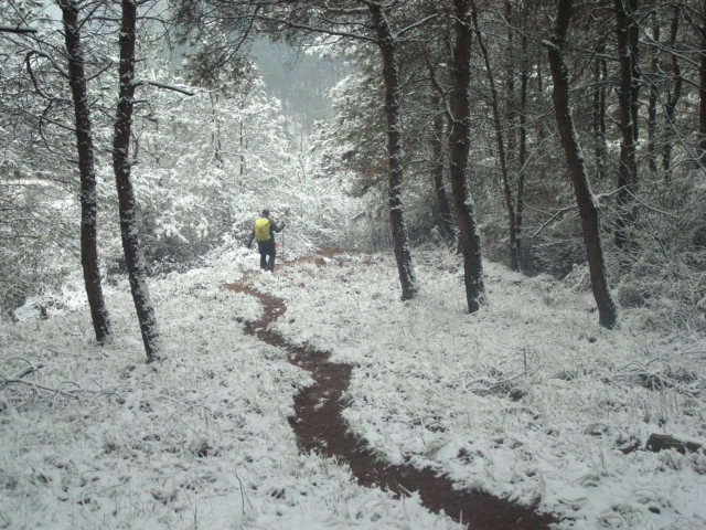 dsc00325.jpg
