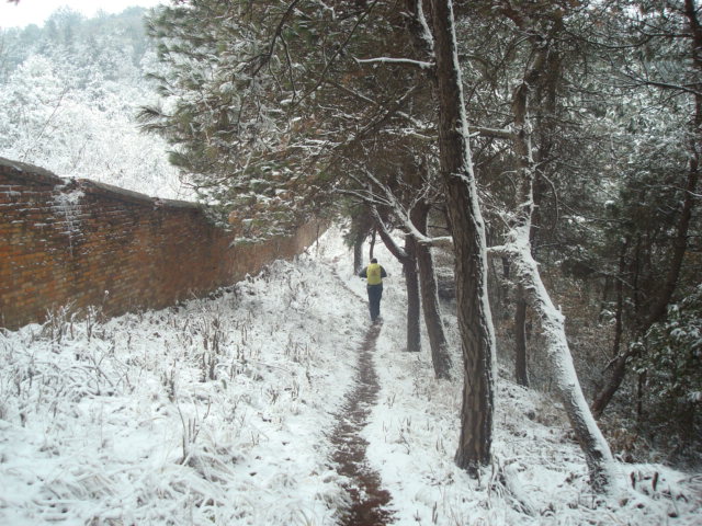 dsc00317.jpg