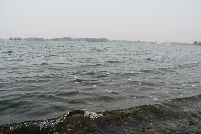 neo_img_img_4925.jpg