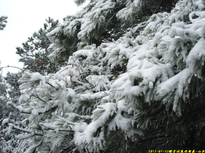 http_imgload-012ĩתӭ´42.jpg