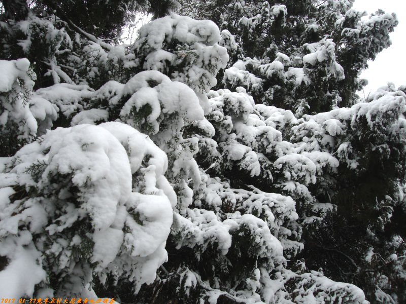 http_imgload-012ĩתӭ´13.jpg