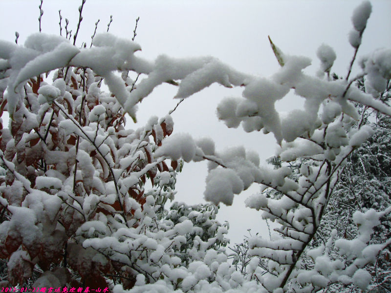http_imgload-012ĩתӭ´41.jpg