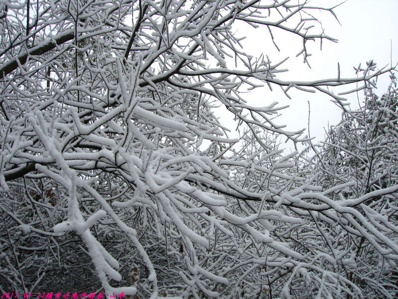 http_imgload-012ĩתӭ´23.jpg