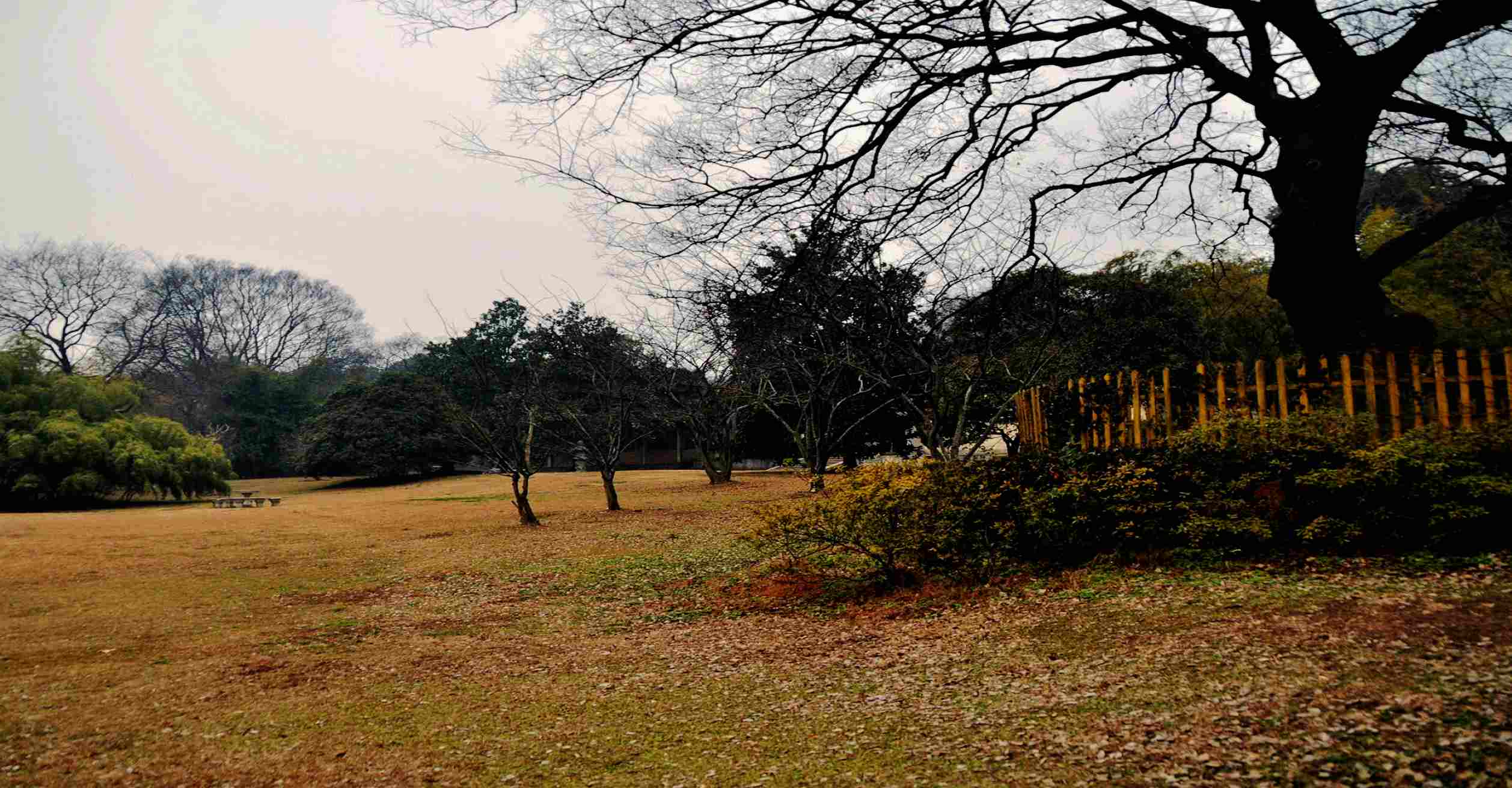 dsc_0285.jpg